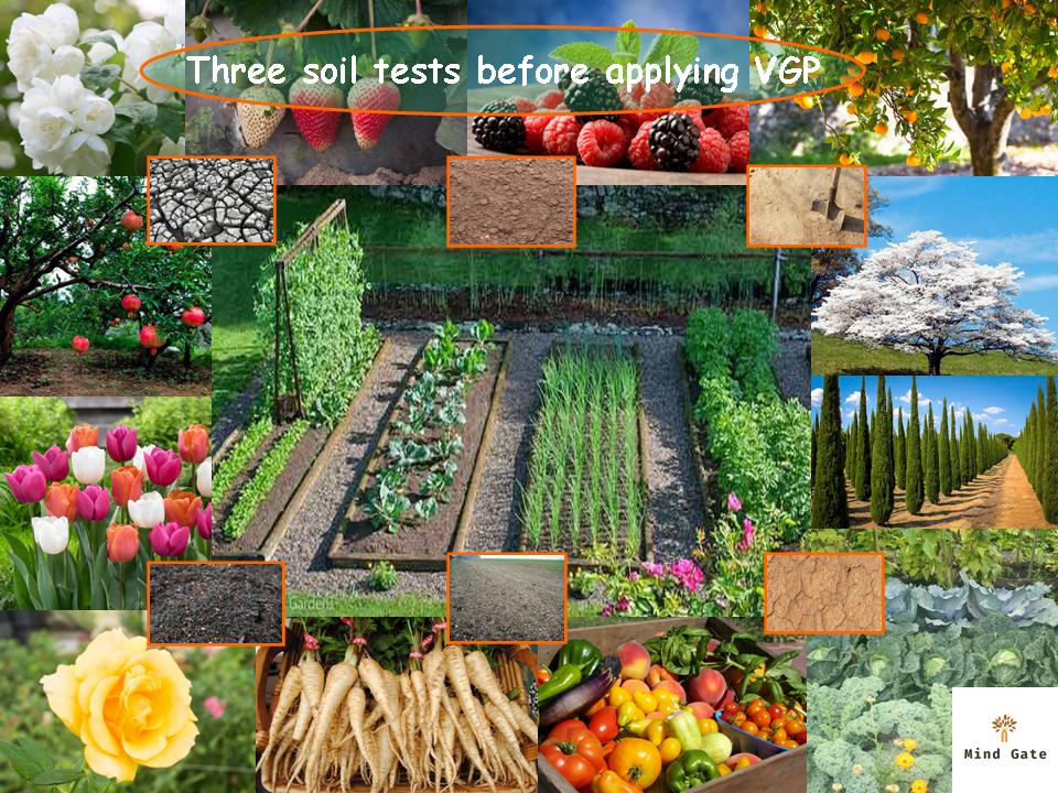 Dig Grow Compost Blog Rejuvenation
