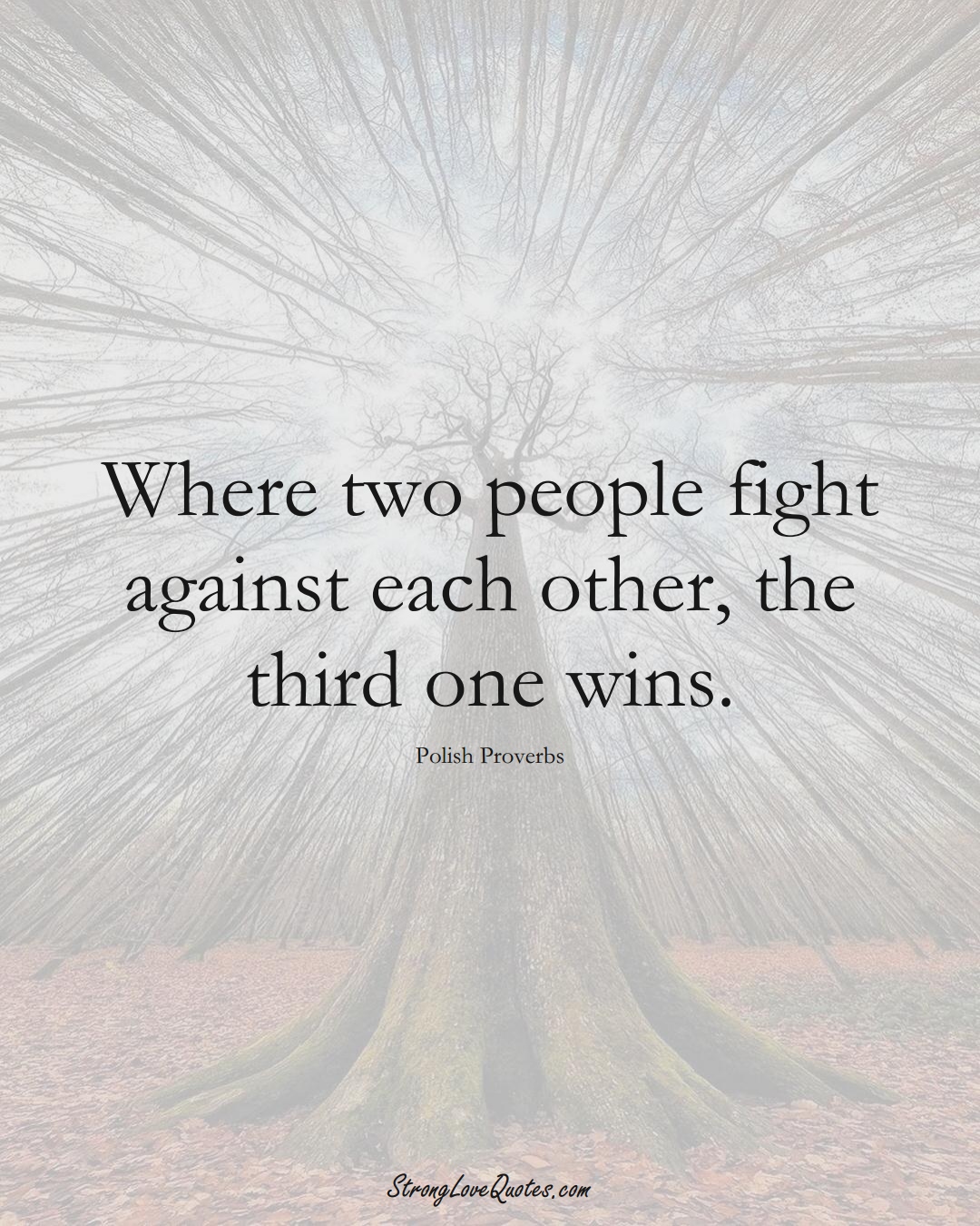 Where two people fight against each other, the third one wins. (Polish Sayings);  #EuropeanSayings