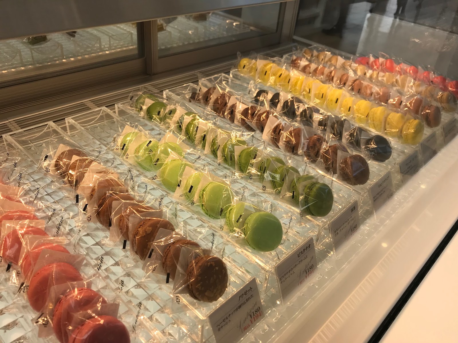 エスネル 豊かな暮らしを送る秘密 いなか日記 77 新潟市での1日 ルーテシア と夕日の海