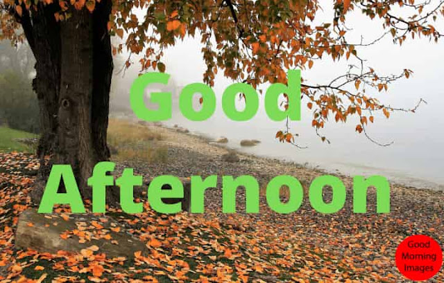 good afternoon love quotes good afternoon love quotes