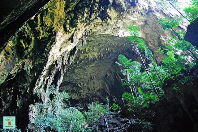 Deer Cave en Parque Nacional del Gunung Mulu (Borneo, Malaysia)