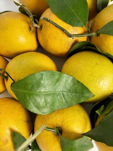 2e2655e9 148a 489b 8d05 293486bf0d39 1