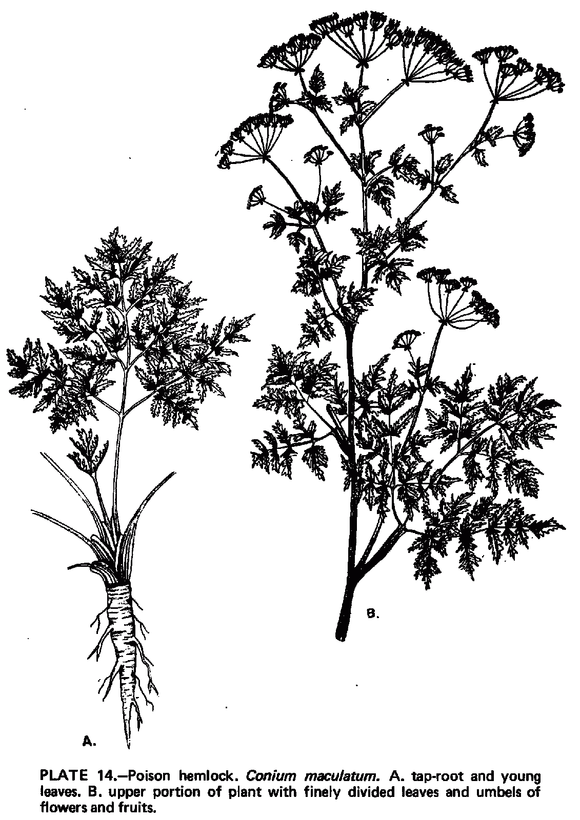 Final Major Project FMP Brief 5 Collaboration Meeting