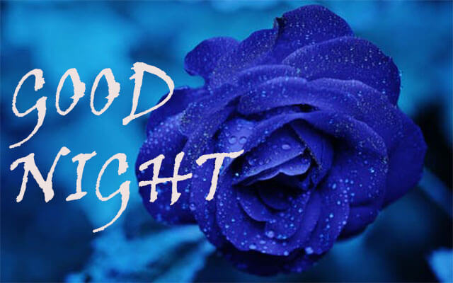 White Flowers Hd Wallpapersd