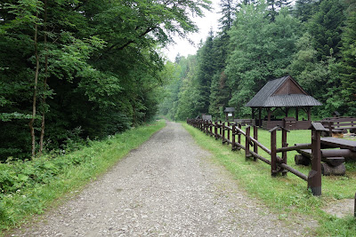 Polana Oberówka - miejsce biwakowe; pod koniec czerwca jeszcze puste