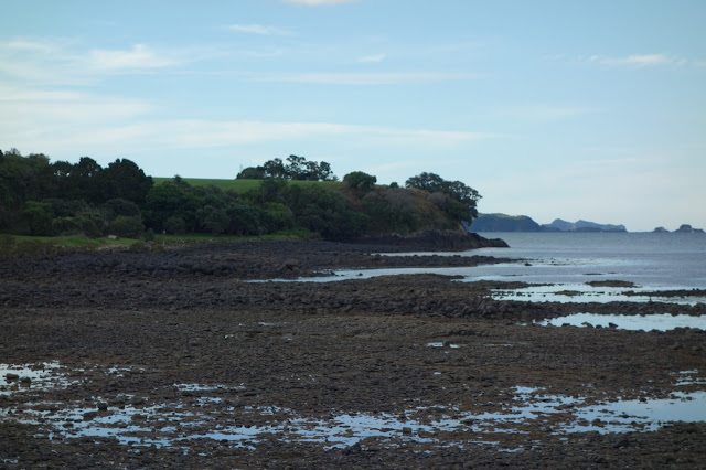 Bay of Islands low tide