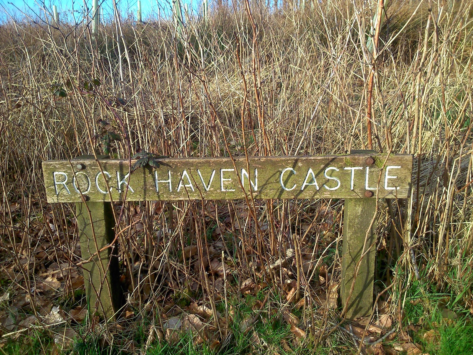 Six Legs, Two Heads, One Tale Rockhaven Castle