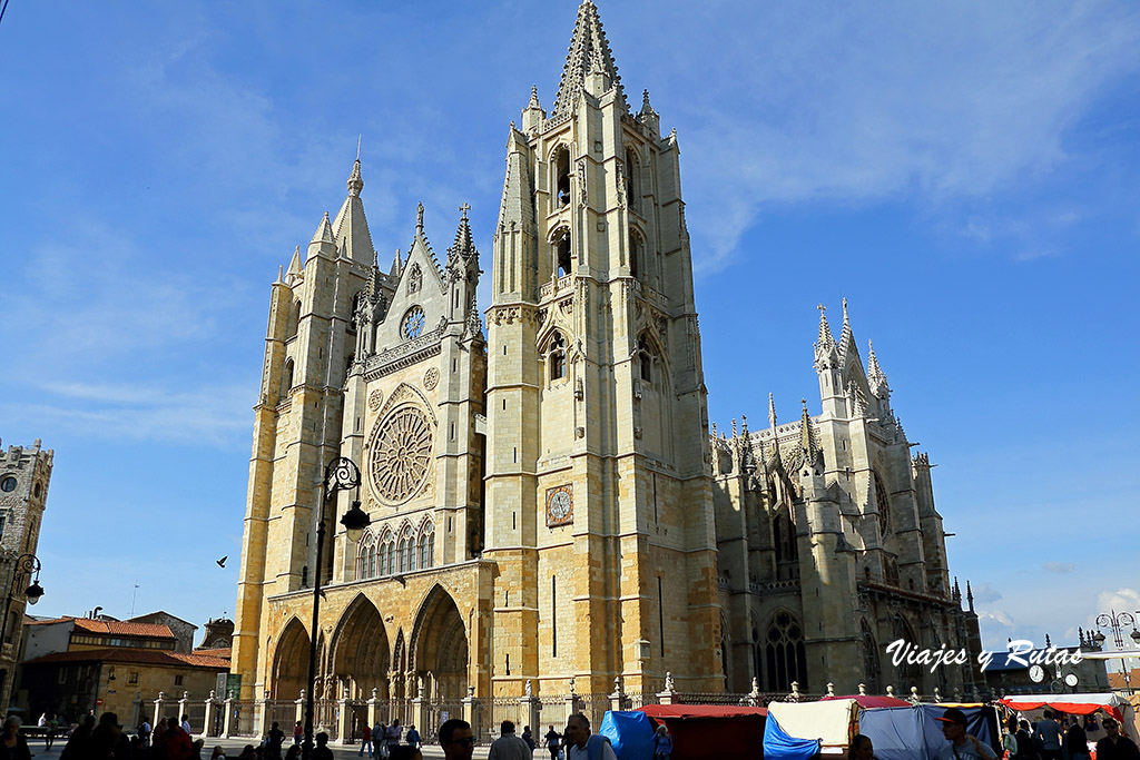 León, catedral