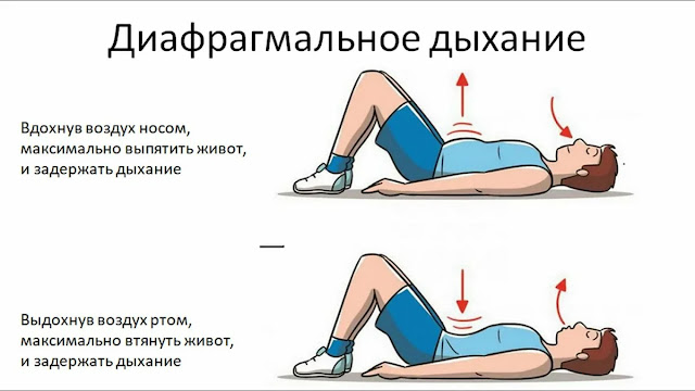 Сказка про малусю и рогопеда слушать scale 1200