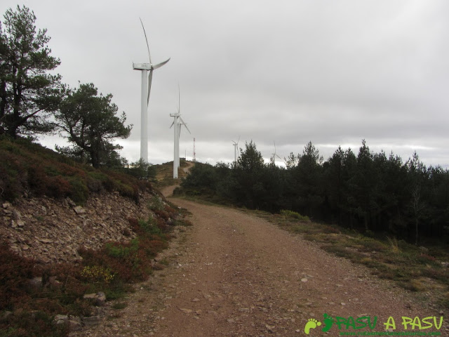 Pista a la cima de Piedras Apañadas