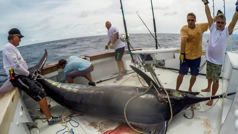 International Fishing News: CAPE VERDE: caught one of the biggest blue