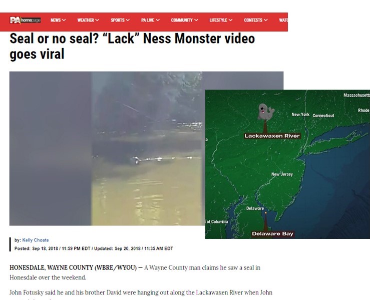 Can Seals Live In Freshwater?