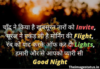 Good Night Love Images In Hindi