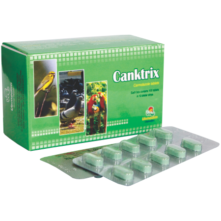 Canktrix - Đặc trị đẹn, viêm loét miệng 1 Vỉ (10 Viên)