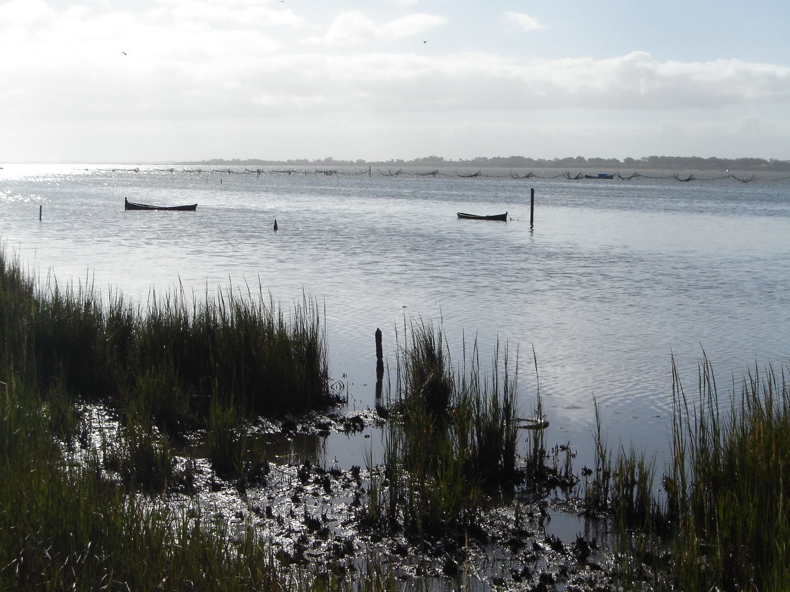 Lagoa dos Patos, Rio Grande 2