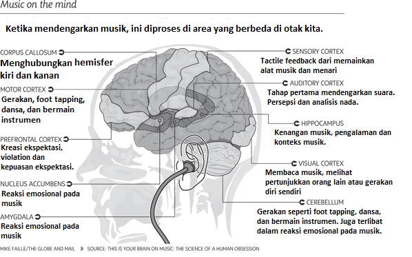 pengaruh musik ke otak manusia