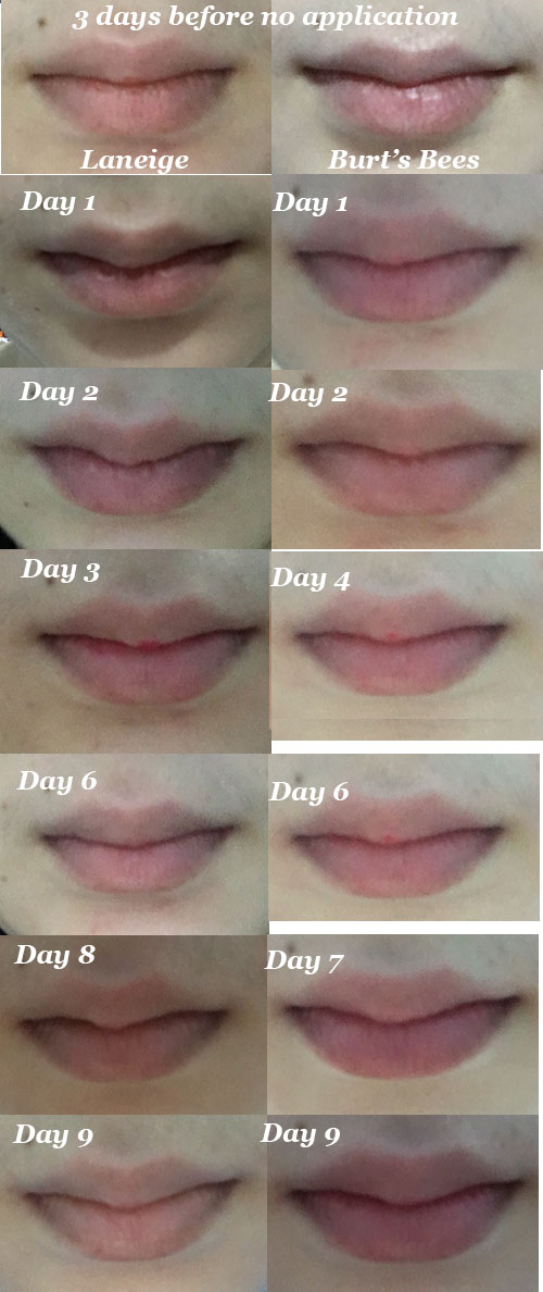 Artsy Med Laneige Sleeping Lip Mask vs Lip Balm