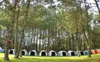 10 Tempat Wisata Alam di Bandung yang lagi Hits 2021 Pine Forest Camp