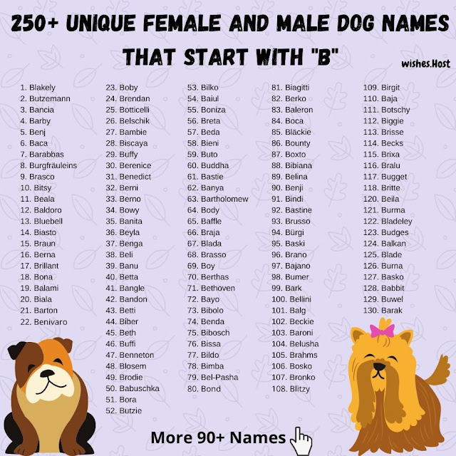 Dog Names That Start with B [ Female and Male Names ]