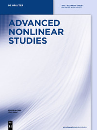 Advanced Nonlinear Studies (ANS)