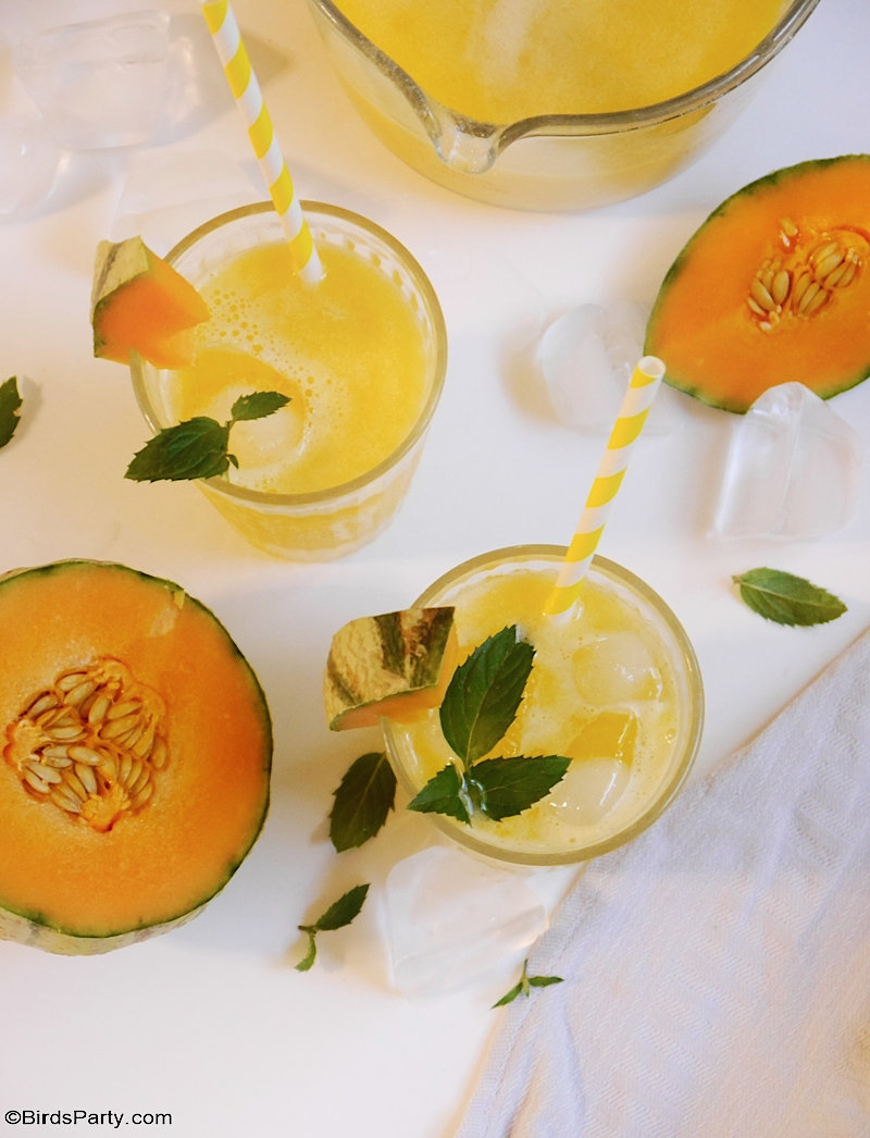 Cantaloupe Melon Lemonade Party Ideas Party Printables Blog