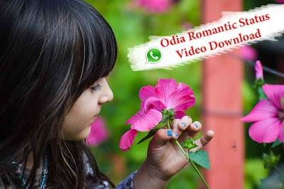 Odia Romantic Status Video Download| Whatsapp Status Video Download