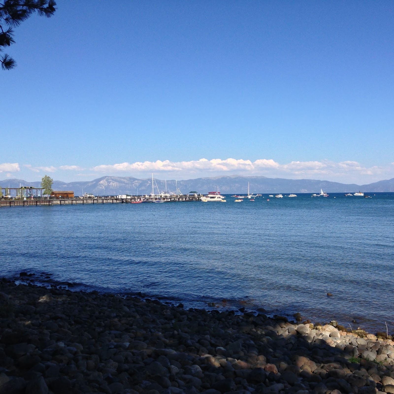 Some Like it Haute Day 5 Tahoe City / Poppy's Waffle Shop and Frozen