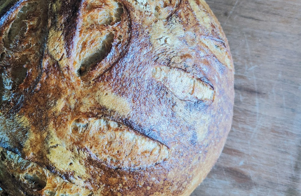 SLU Nutrition and Dietetics Internship Blog Sourdough Bread and