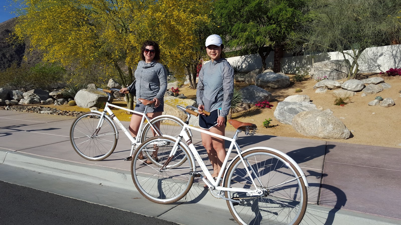 Desert Roadkill Cycling Palm Springs, 03202016