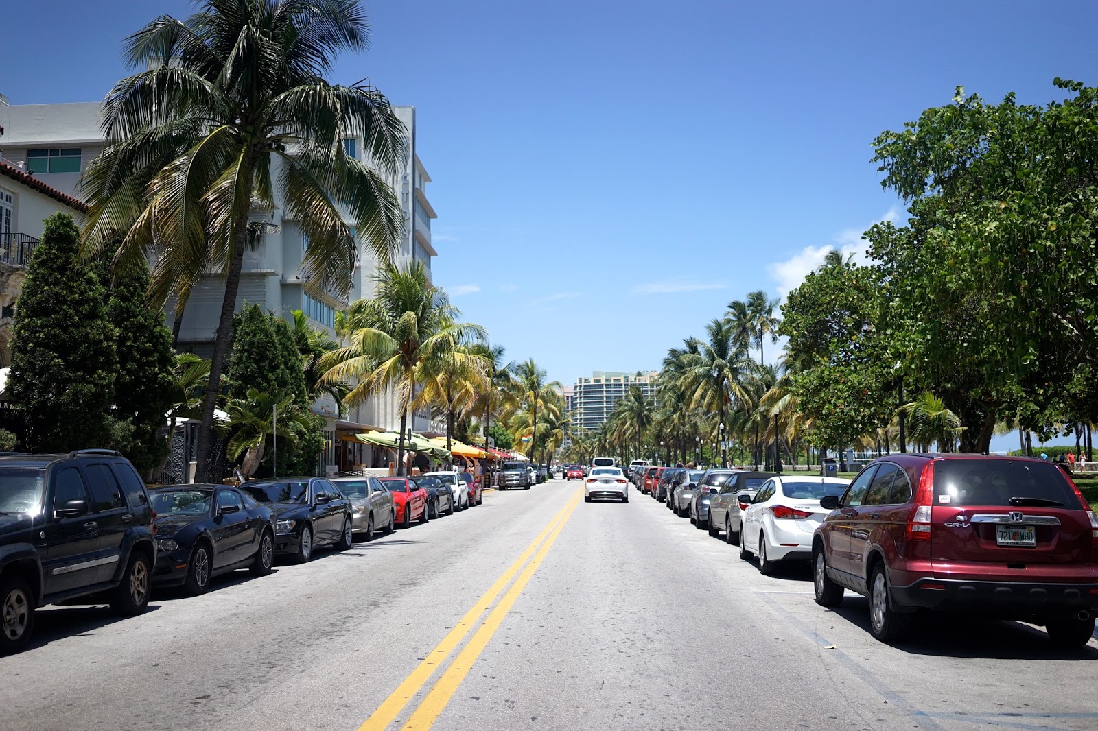 what to do in miami