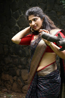 Roshini Prakash Saree Stills From Jada Movie Audio Launch