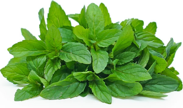 7 Herbs That Can Help You Lose Weight