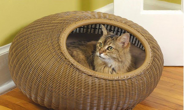 Decorative accessories for pets