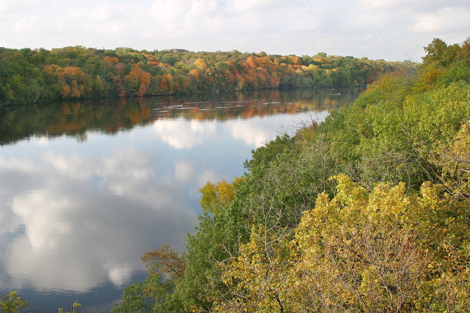 Main nadi bol rahi hoon image