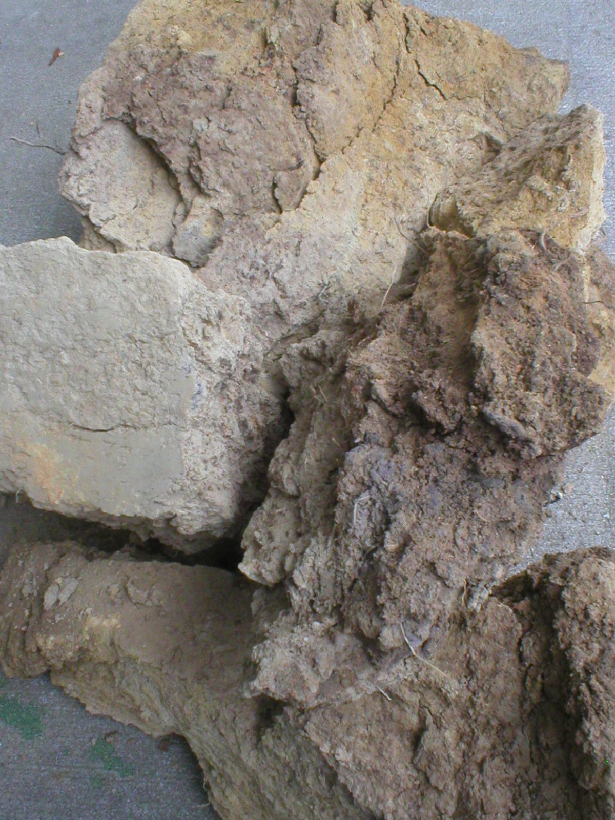 Richard Christopher Patterson Artist/Potter In The Process of