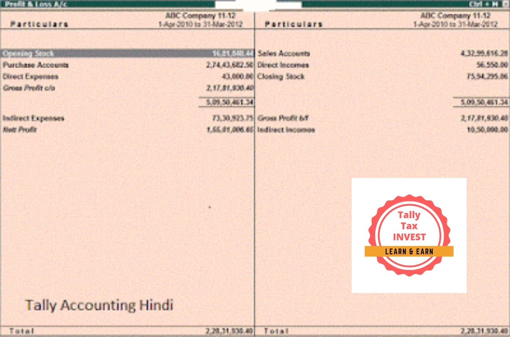 Tally Solution Profit & Loss Account