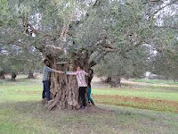 Αγροτική και ζωική παραγωγή στην Ελλάδα