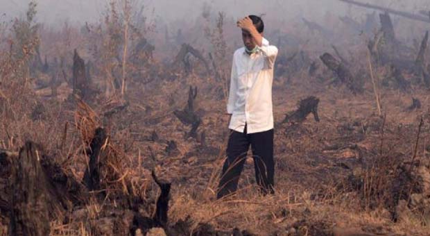 Bencana Kabut Asap Jadi Pertaruhan Kredibilitas Pemerintahan Jokowi