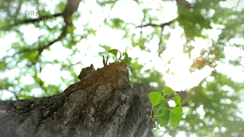 %25EC%2584%259C%25EC%259A%25B8%2B%25ED%2