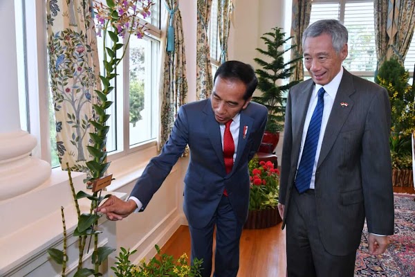 Tiba di "The Istana" Singapura, Presiden Jokowi Disambut Upacara Resmi Tiba di "The Istana" Singapura, Presiden Jokowi Disambut Upacara Resmi