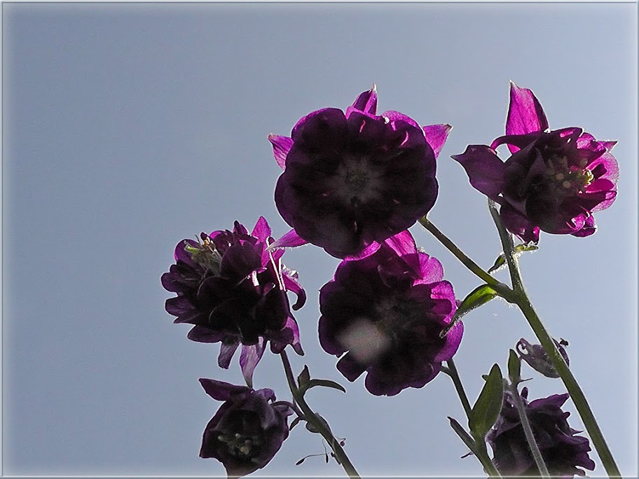 Internetfaszination: Mai 2011