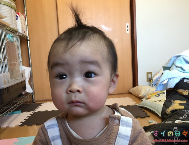 赤ちゃん 髪の毛 推移