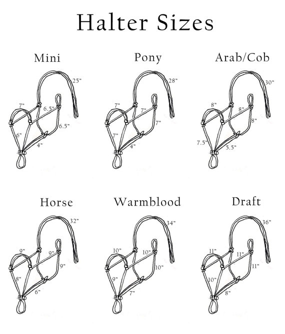 Thoughtful Equestrian: How To: Tie a rope halter
