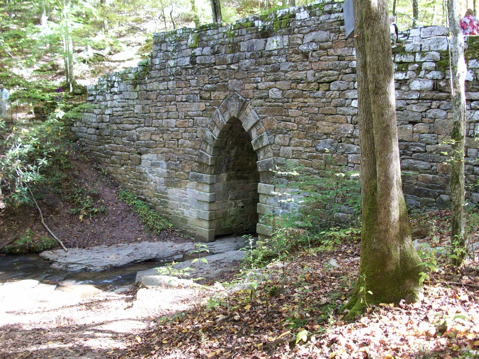 Ric's Travels Tour of The Dark Corner in South Carolina