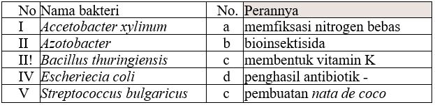 Pembahasan Soal UN Biologi 2019 Nomor 01 (Peranan Bakteri