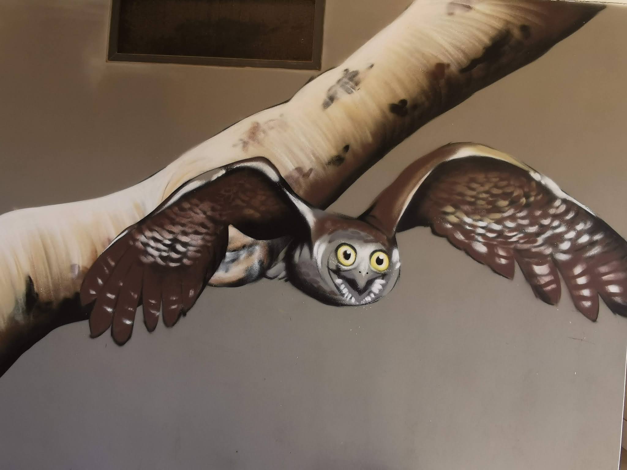 Wagga Wagga Styles400_