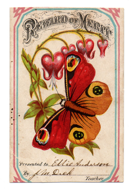 Image ancienne papillon Image ancienne papillon