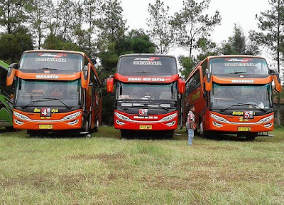 armada bus sedya mulya armada bus sedya mulya