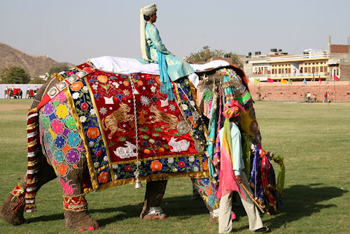 The Presurfer: Jaipur's Elephant Festival