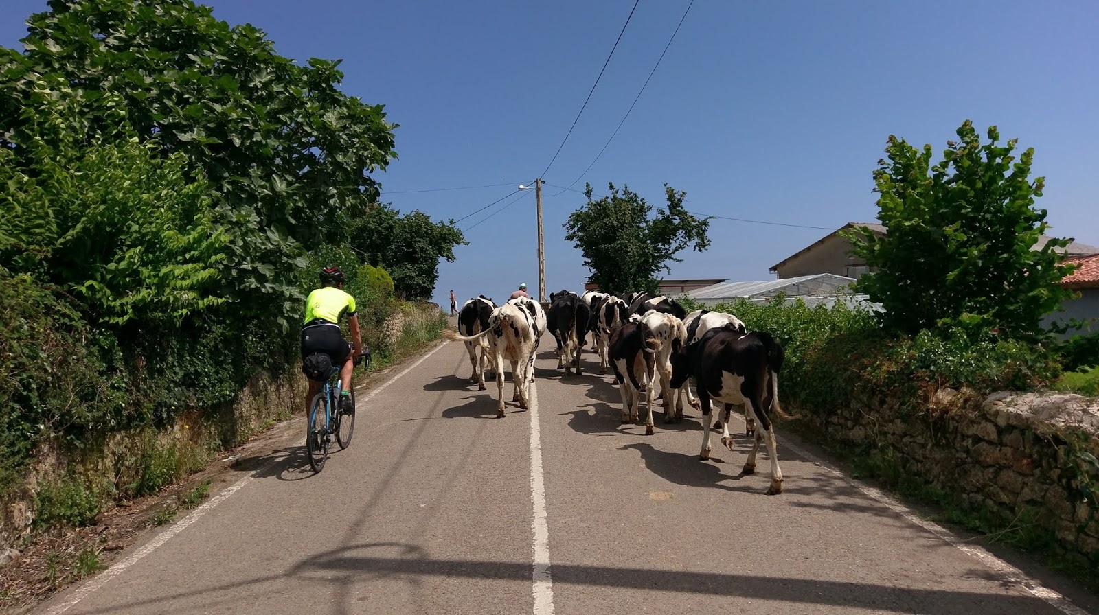 Vuelta Cicloturista a Asturias ETAPA 5 CANGAS DE ONÍS GIJON